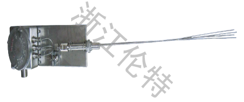 Gas Injection Thermocouple